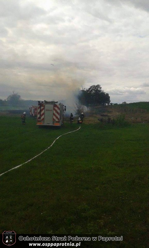 Pożar suchej trawy