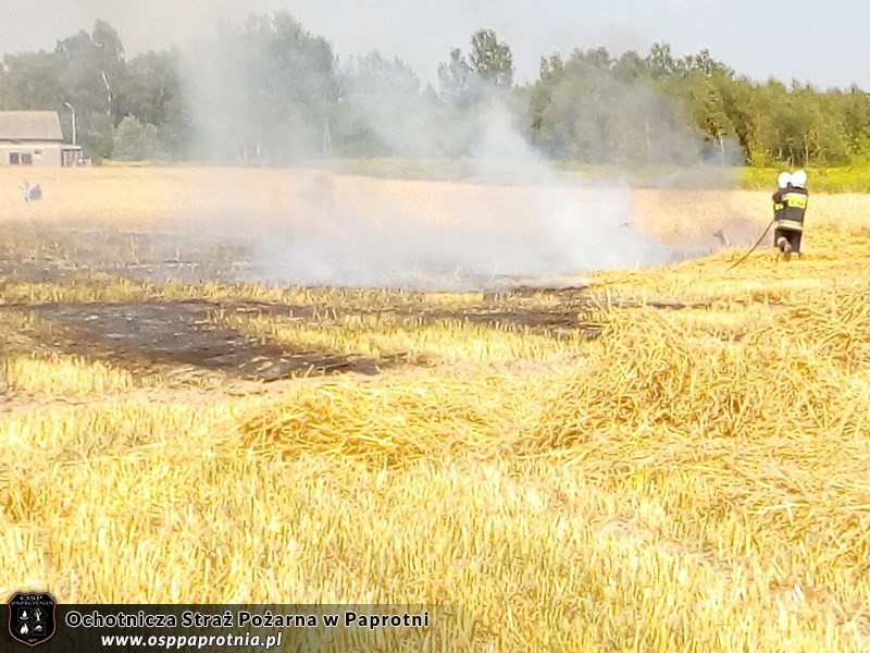Pożar słomy Gnatowie Nowe