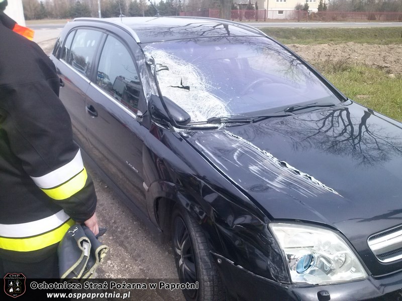 Kolizja drogowa w Serokach