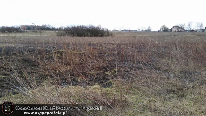 Pożar trawy Paski Nowe