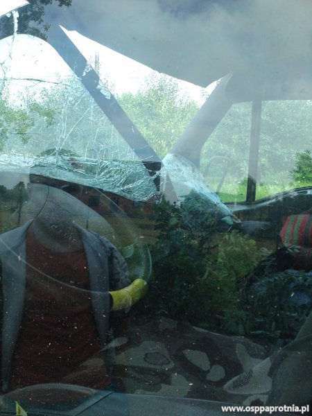 Przewrócone drzewo w Masznie