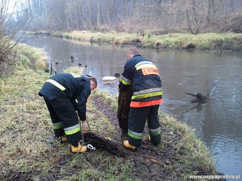 Udrażnianie Utraty