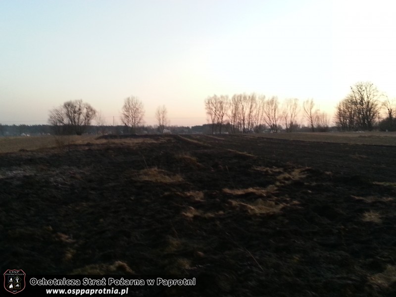 Pożar trawy na Masznie