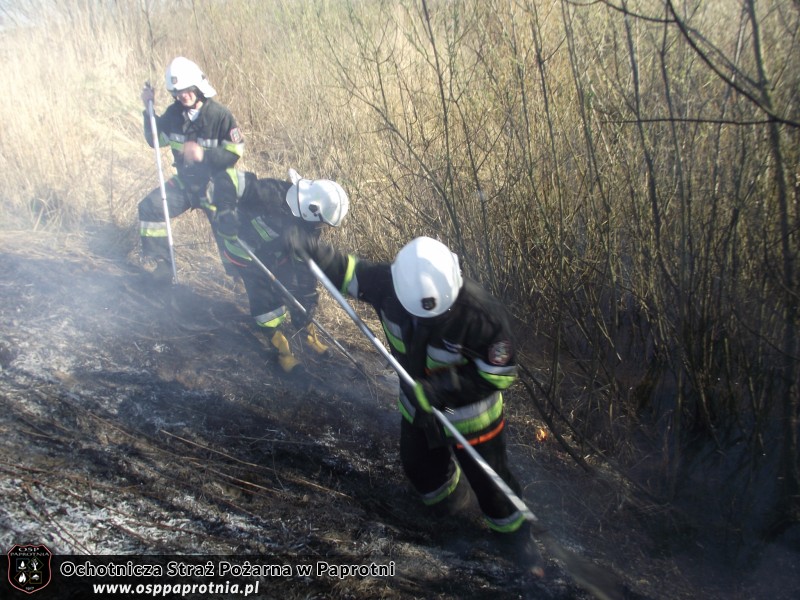 Pożar trawy Nowe Gnatowice