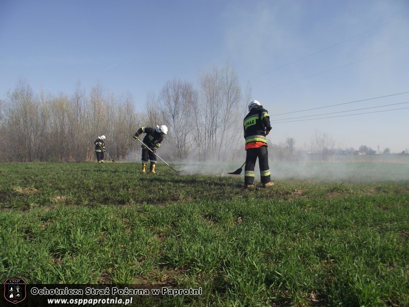 Pożar trawy Nowe Gnatowice